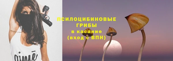 СК Белокуриха