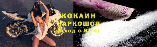 СК Белокуриха